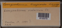 Image Associated With the Occurence